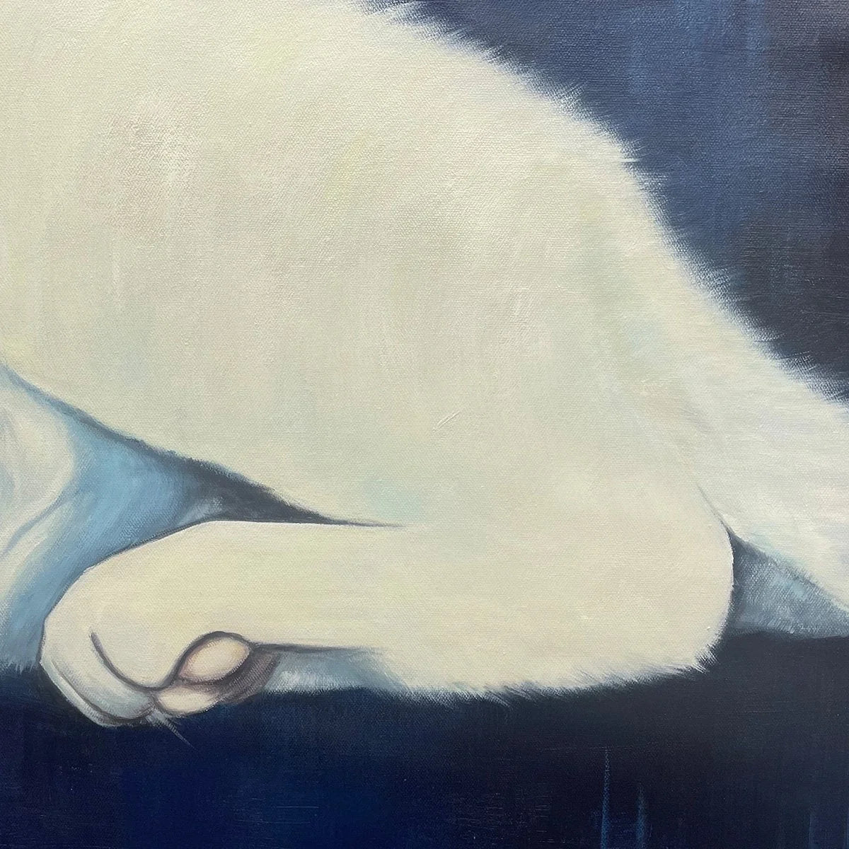 SLEEPING WHITE CAT PANORAMIC: Cat Painting, Panoramic Wall Art, Pet Portrait | Abstract mood, soft natural light studio shot