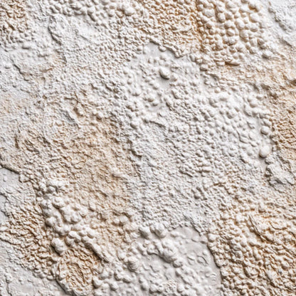 TERRA VEIL: Wabi Sabi Textured Minimalist Abstract Painting | rectangular format, hand-painted canvas edge