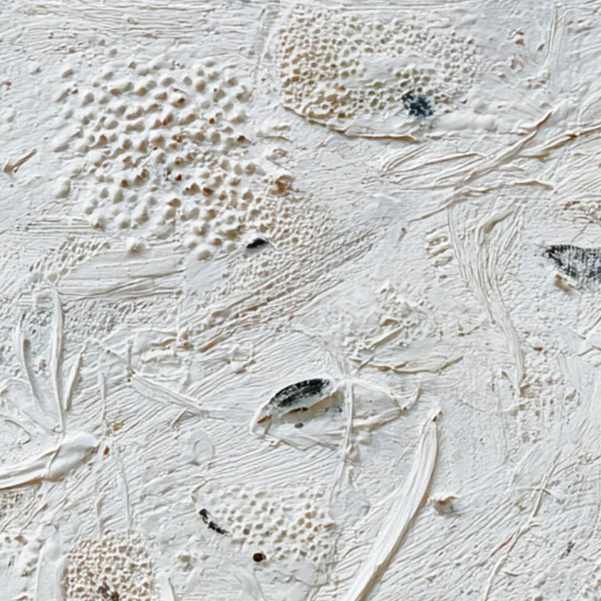 TIDAL RELICS: Textured Wabi Sabi Abstract Ocean Painting | rolled canvas, ready for custom framing