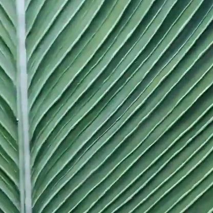 TROPICAL SERENITY: Minimalist Botanical Painting, Green Leaf Wall Art, Vertical Canvas | black frame version on white wall
