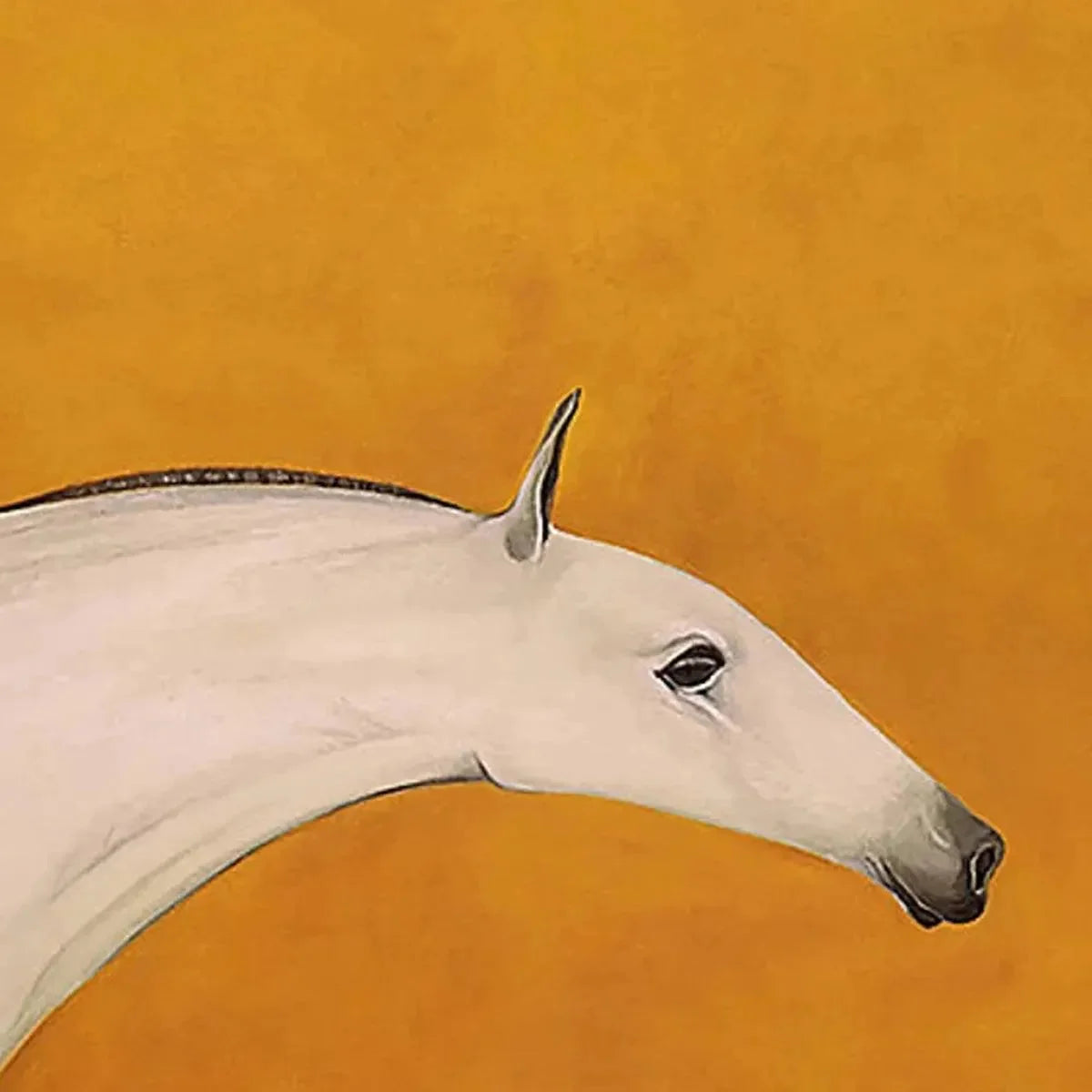 WHITE HORSE ON YELLOW | rectangular format, hand-painted canvas edge